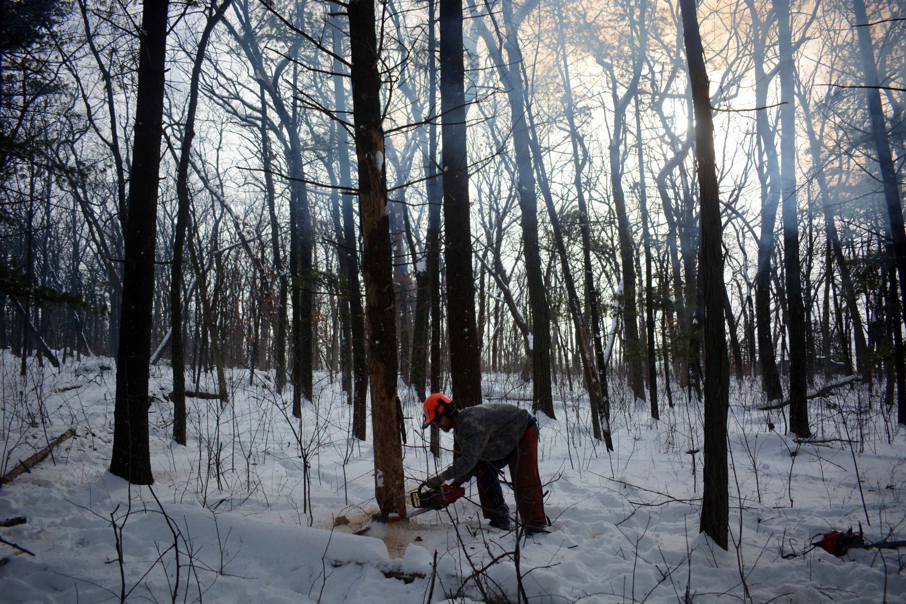 Devil's Lake east bluff stewardship work